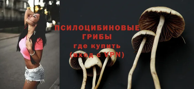 Галлюциногенные грибы Magic Shrooms  darknet официальный сайт  Петровск-Забайкальский  блэк спрут как войти 